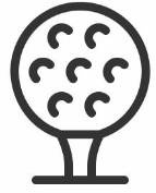  FAQs 